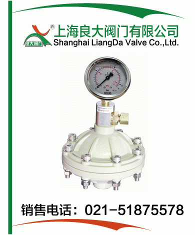 PP、PVDF脈沖阻尼器